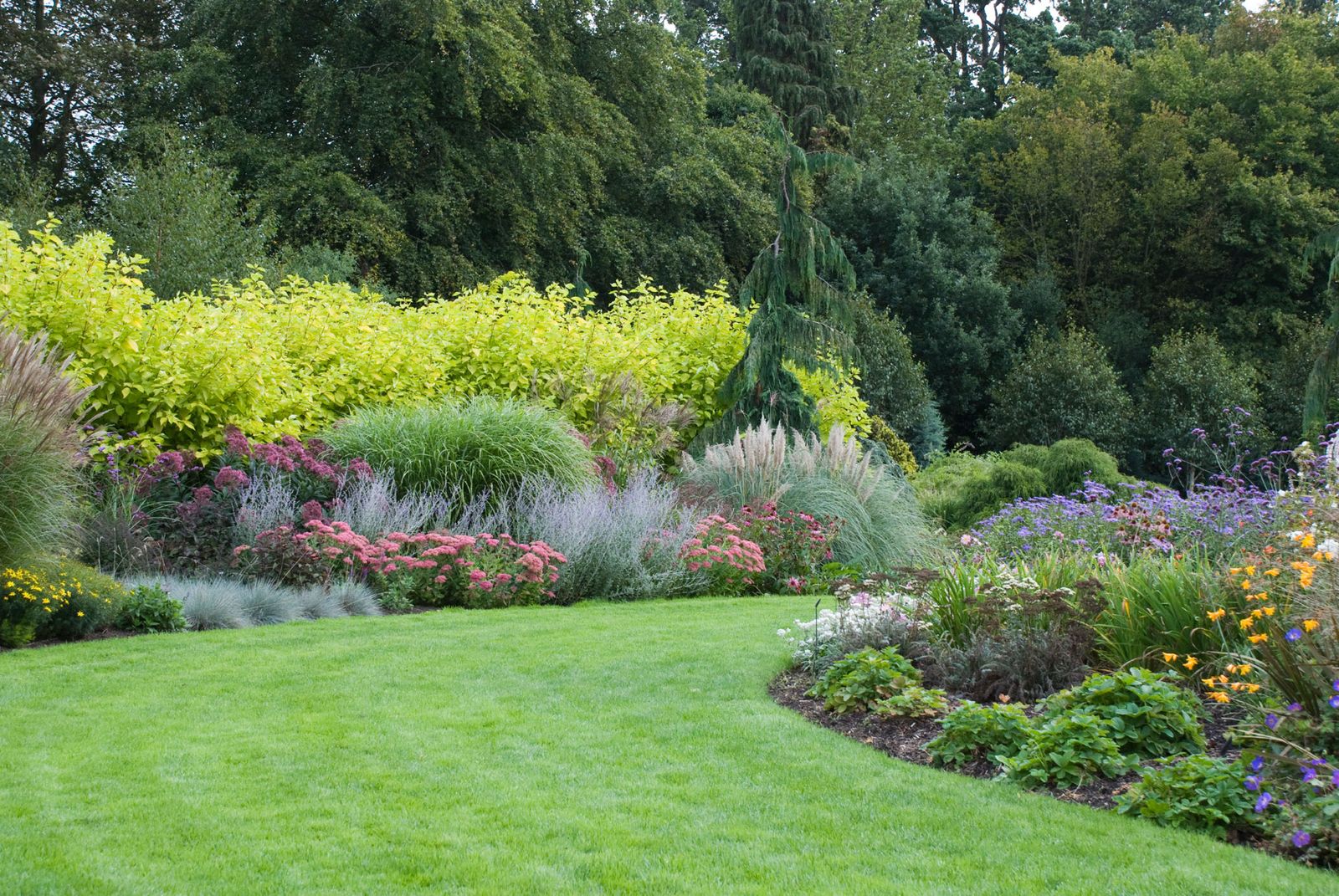 Arriete de plantas vivaces Arriete de plantas vivaces