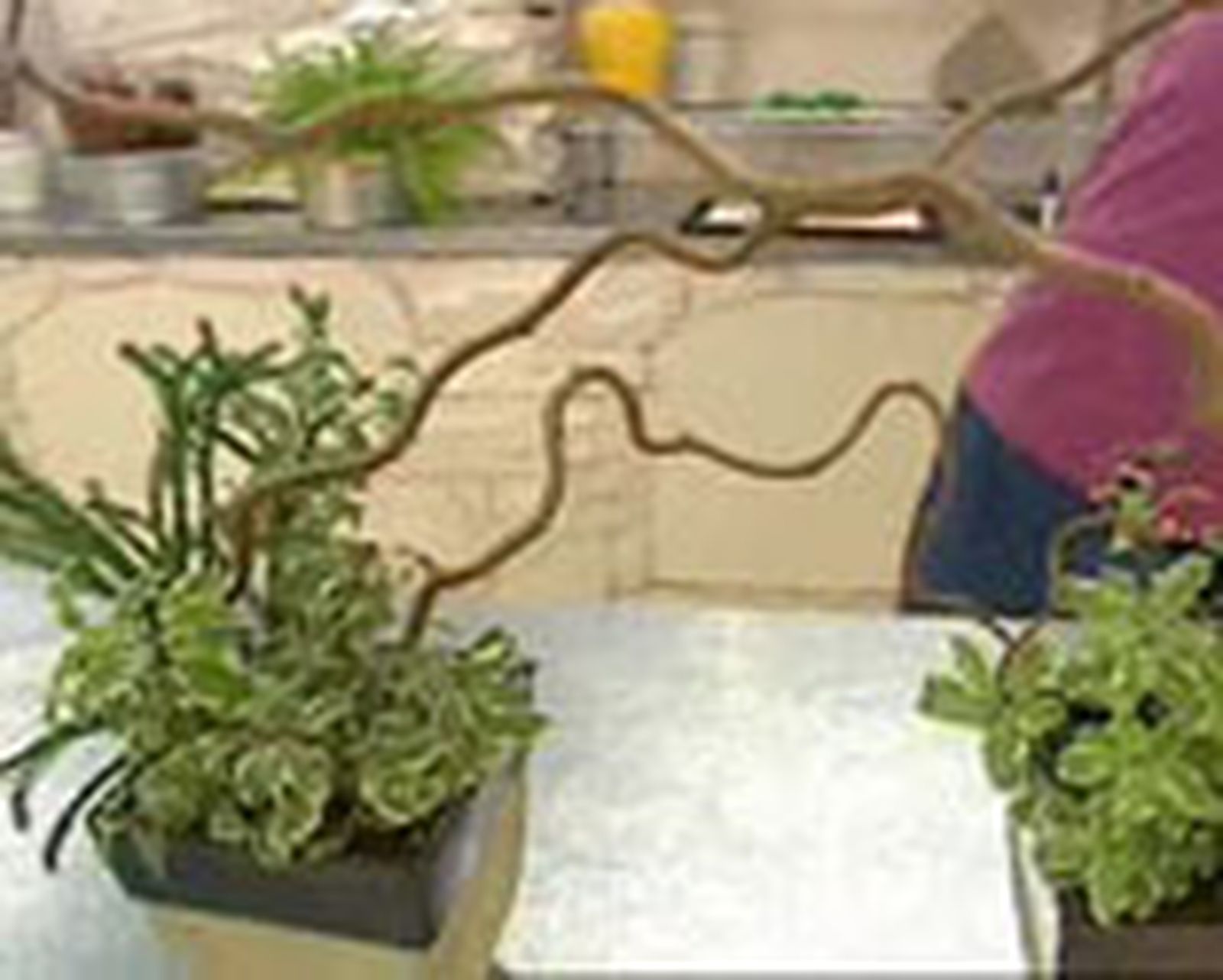 DEKO_ARTE_FLORAL_020_Centro floral de gerberas y ramas de avellano p3 DEKO_ARTE_FLORAL_020_Centro floral de gerberas y ramas de avellano p3