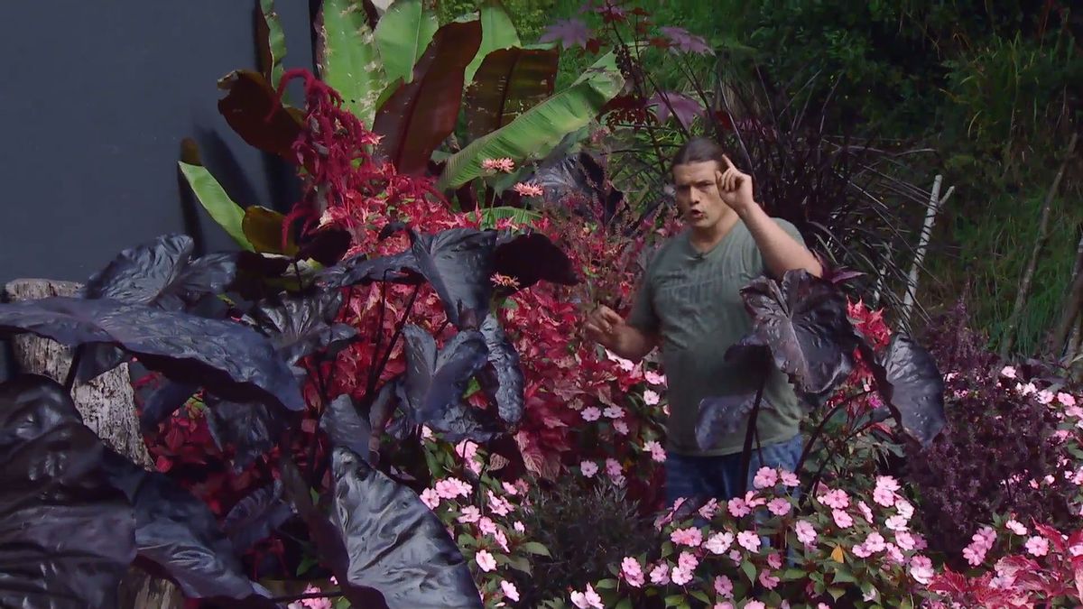 deco 0669 composicion floral rosas negros alegria alocasia detalle final