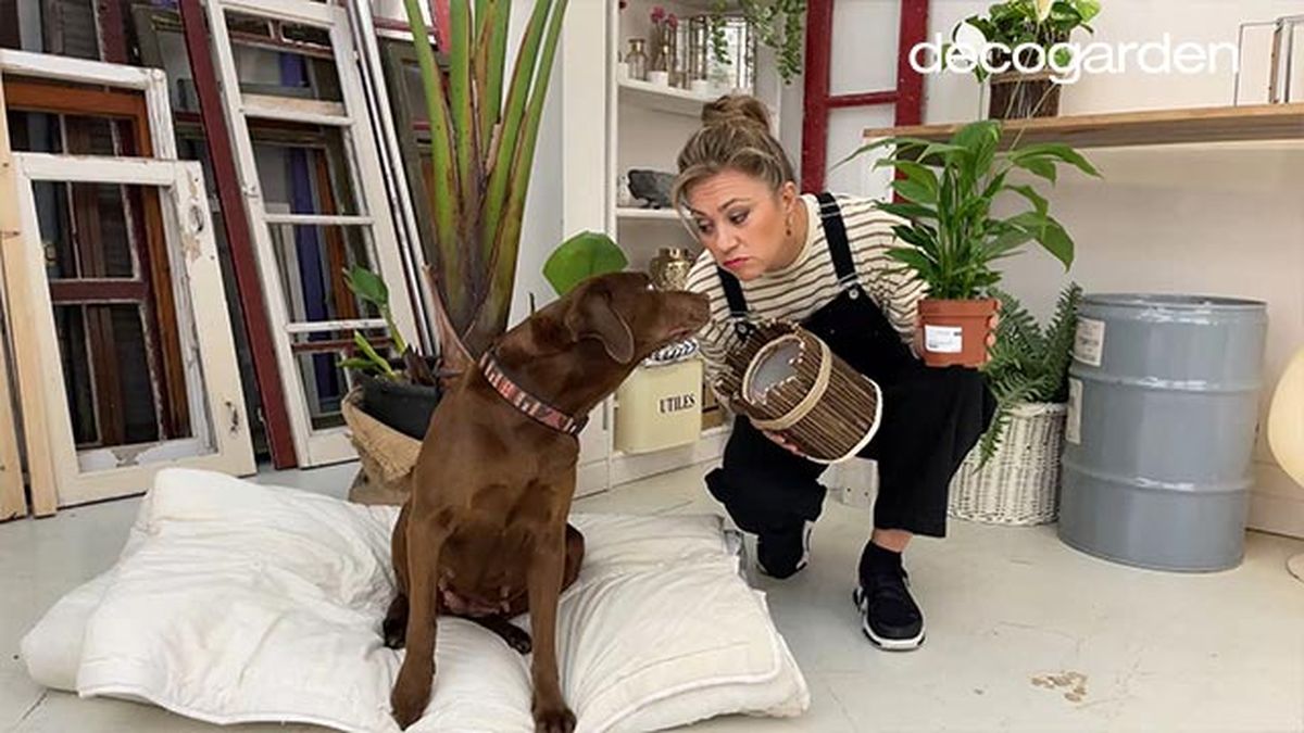 como hacer una maceta reciclando bote pintura paso 8