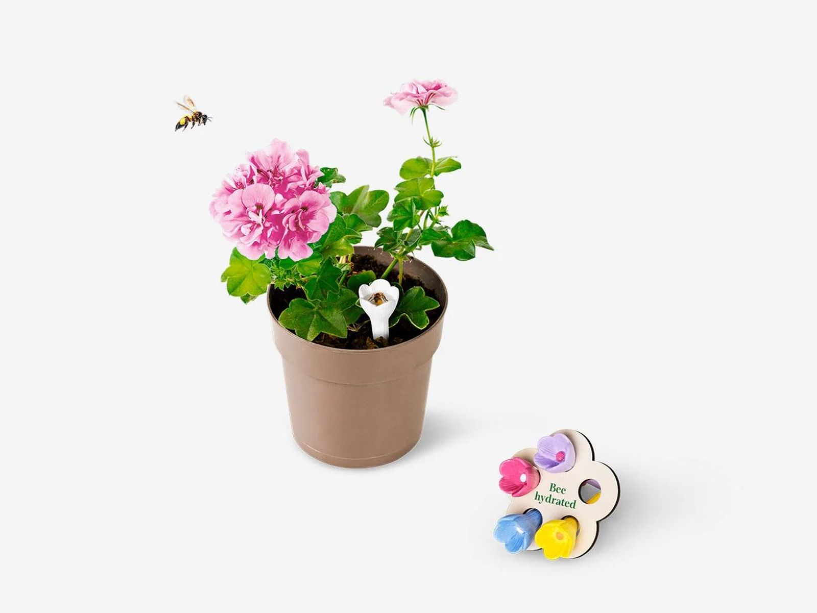 Tazas para abejas Tazas para abejas