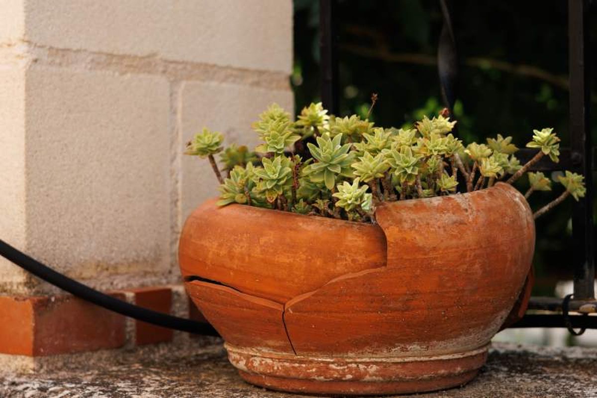 Tiestos de barro roto