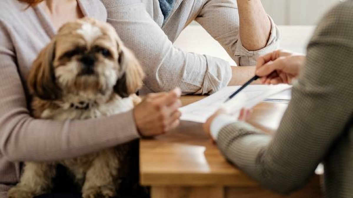 contrato alquiler vivienda admite mascotas