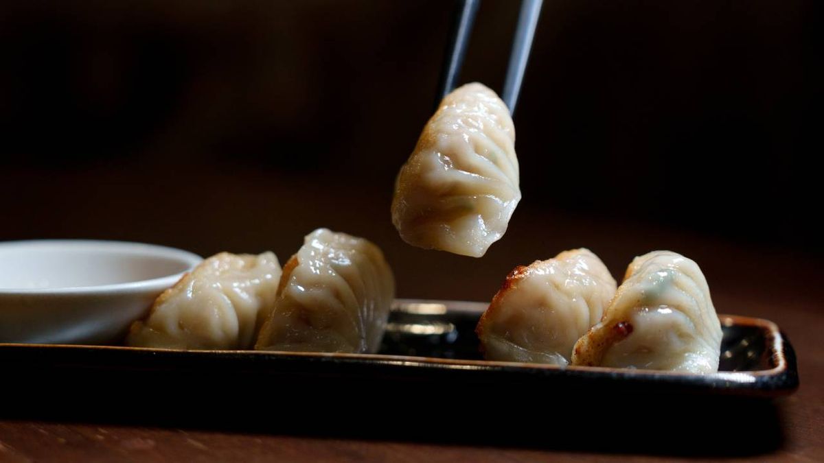 gyozas 2
