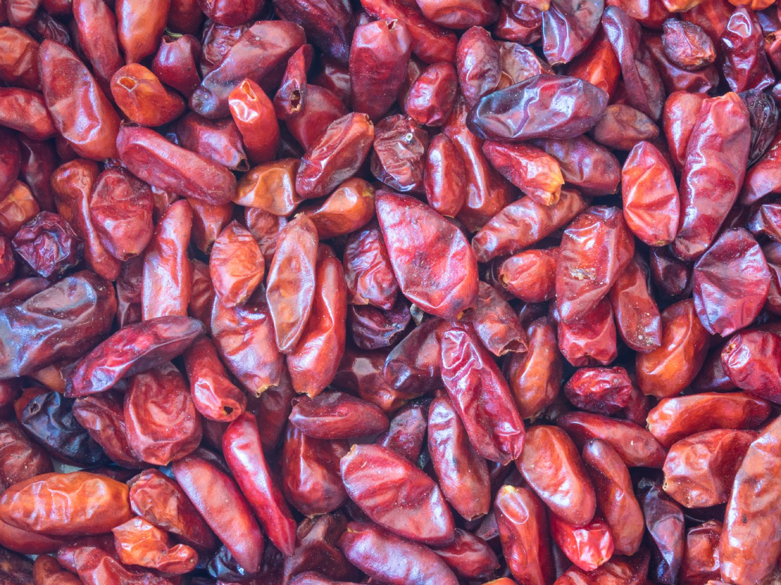 Pequeño pero potente; uno de los chiles más picantes usados en salsas y botanas tradicionales.