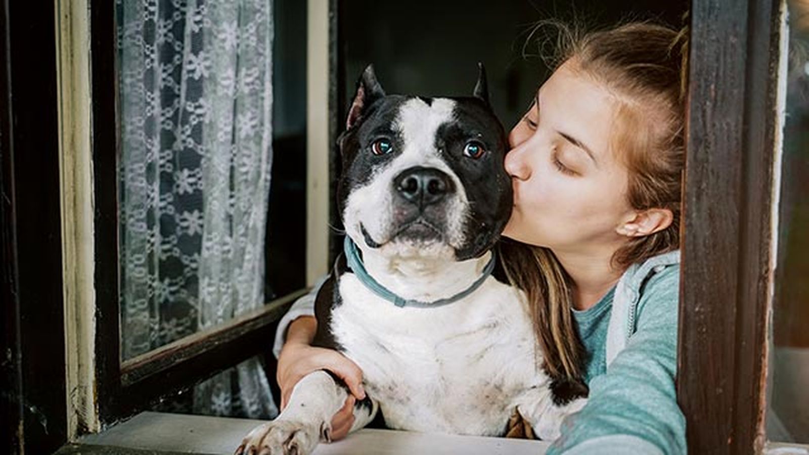 desparasitar mascota mensualmente 10 beso perro desparasitar mascota mensualmente 10 beso perro