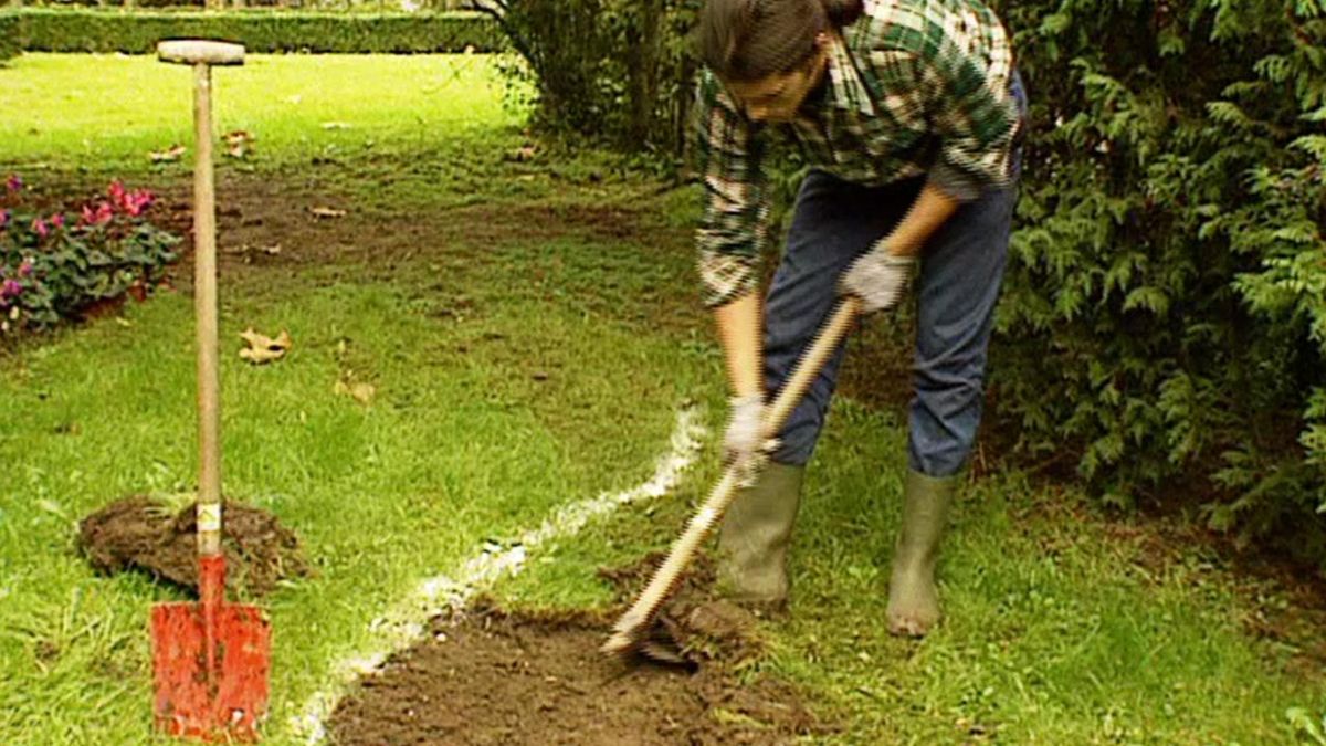brico 091 jardin parterre quitar cesped