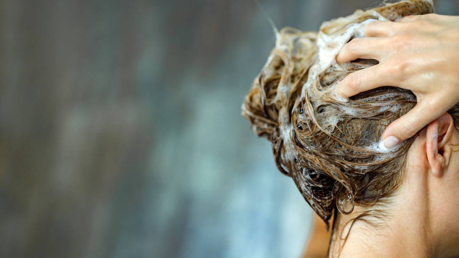 lavar cabello champu de cafeina lavar cabello champu de cafeina