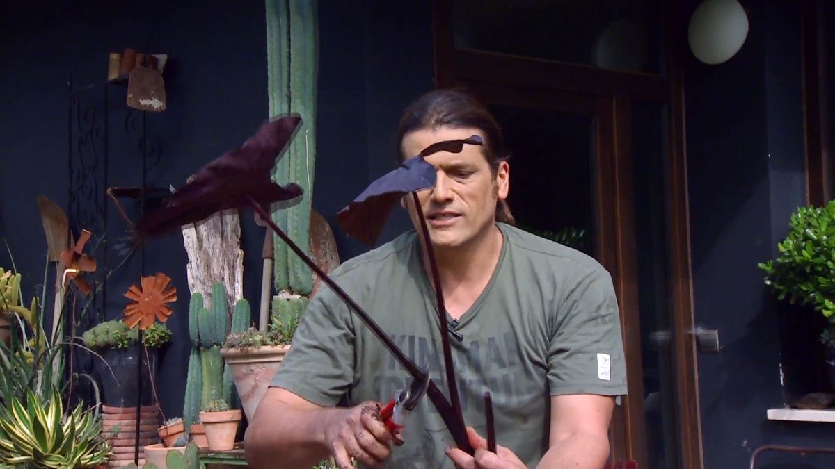 deco 0669 composicion floral rosas negros alegria alocasia alocasia plantacion