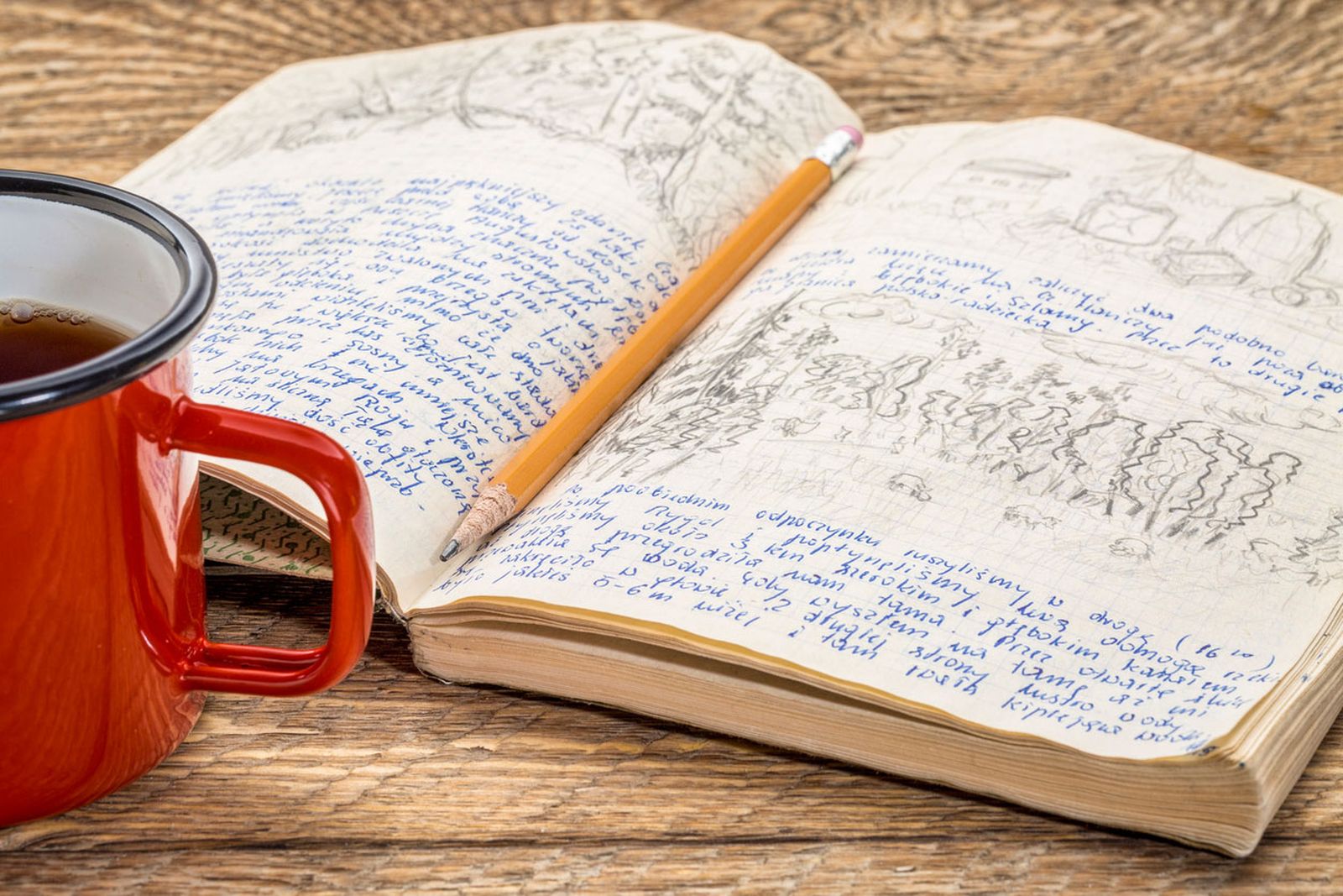 bullet journal ejemplo bullet journal ejemplo