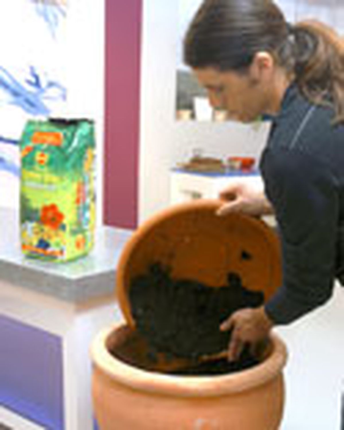 composicion Dicksonia 1