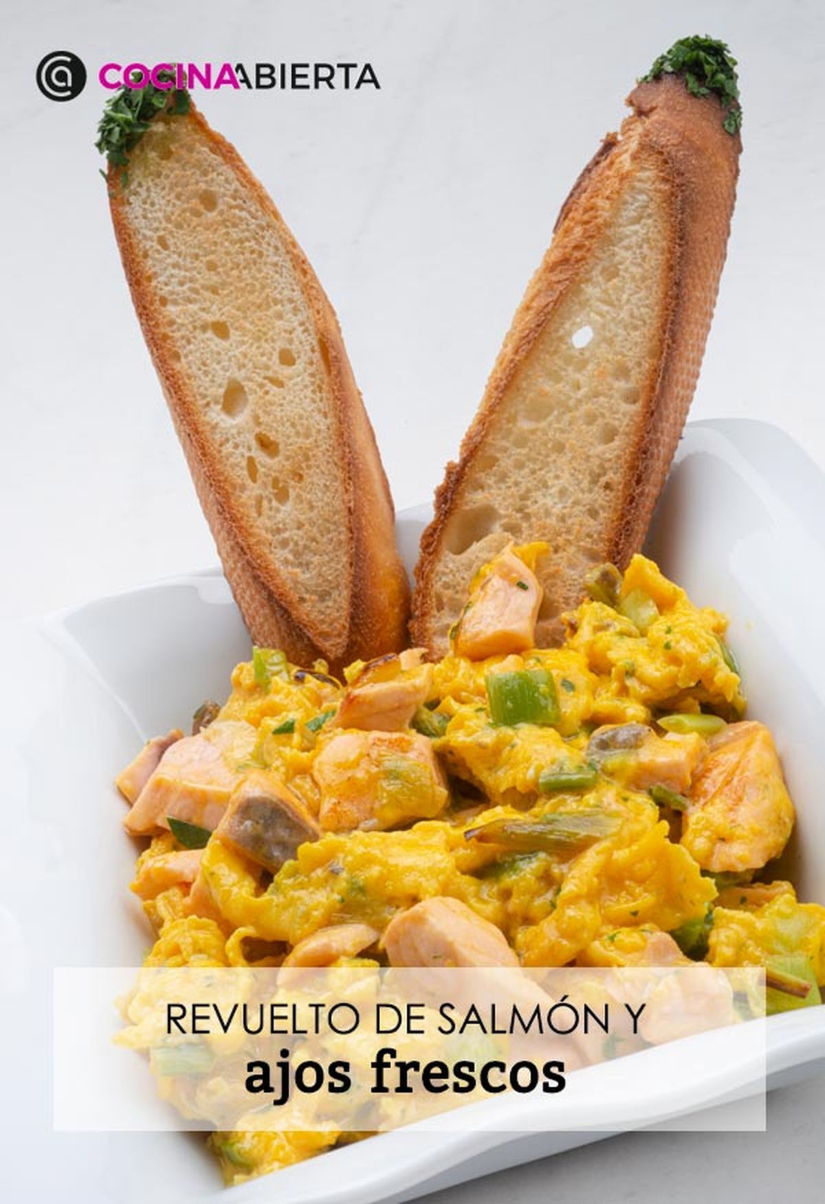 karl6630 revuelto salmon v