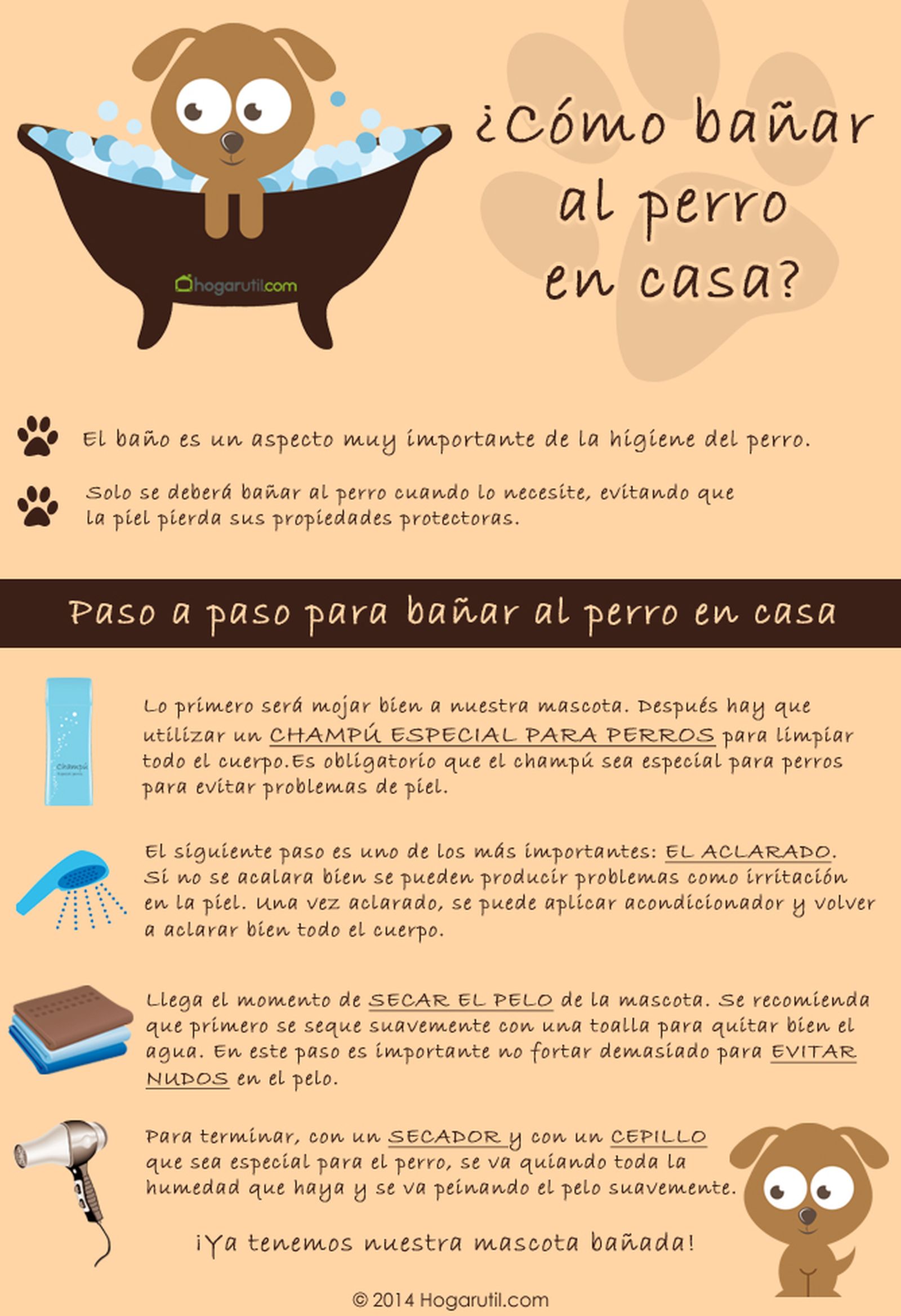 Infografía sobre cómo bañar al perro en casa