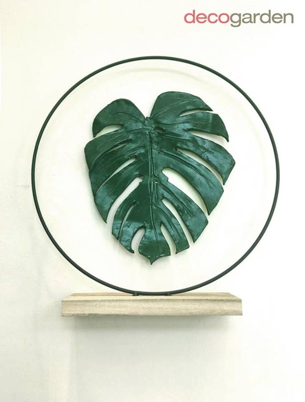 costilla adan arcilla 1