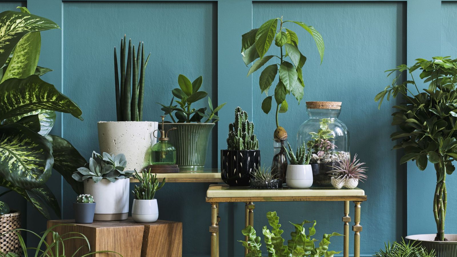 No rotar las plantas provoca crecimientos inclinados, ya que esta se orienta hacia la fuente de luz