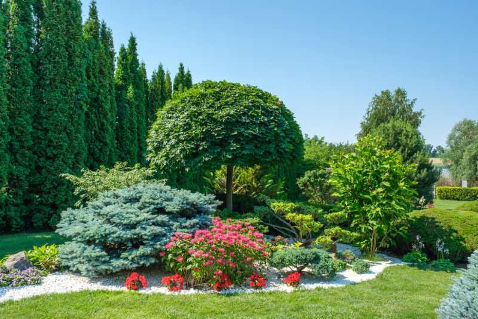 Existe una amplia variedad de árboles ornamentales. Existe una amplia variedad de árboles ornamentales.