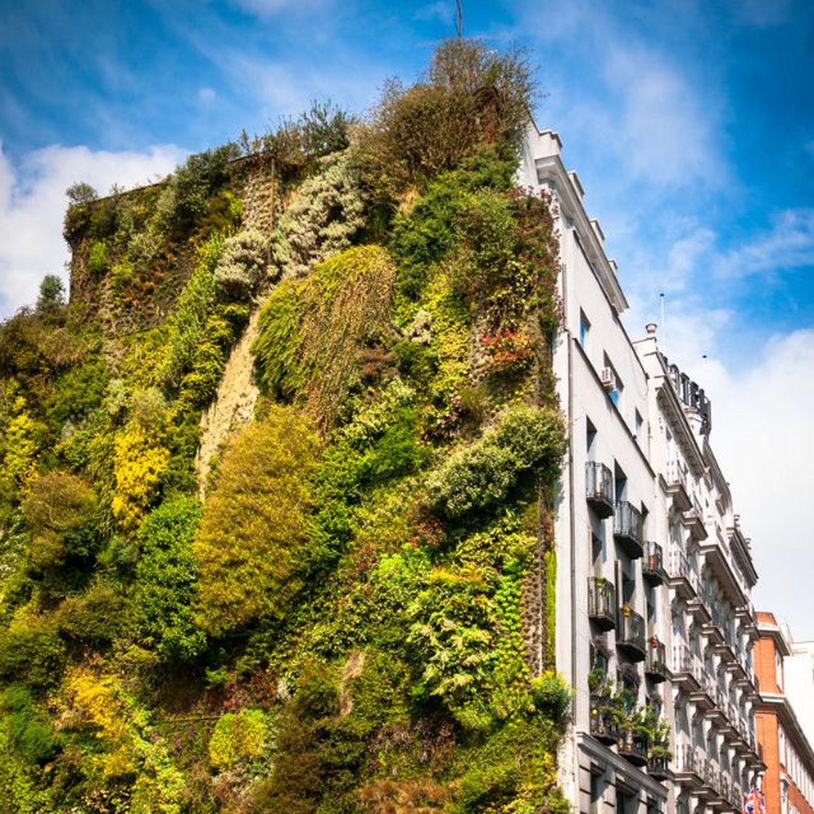 jardin vertical en la calle jardin vertical en la calle