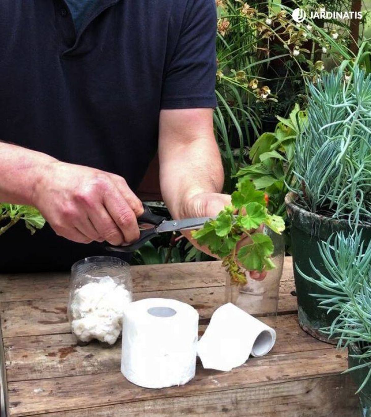 como hacer esquejes papel higienico xl