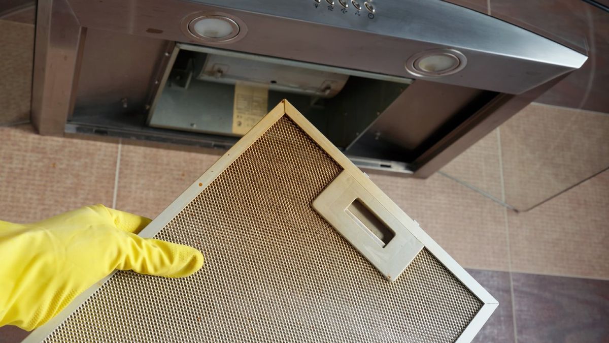 Filtros de una campana