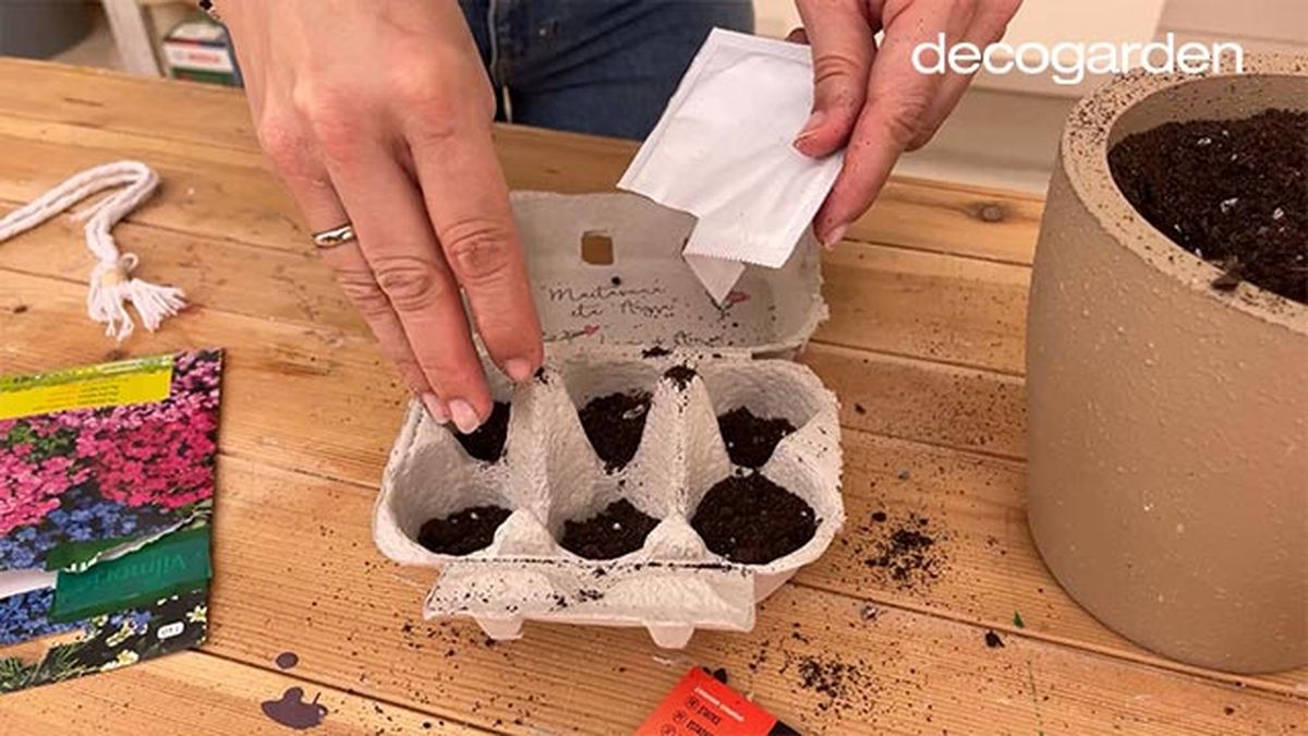 5 manualidades hueveras semillero