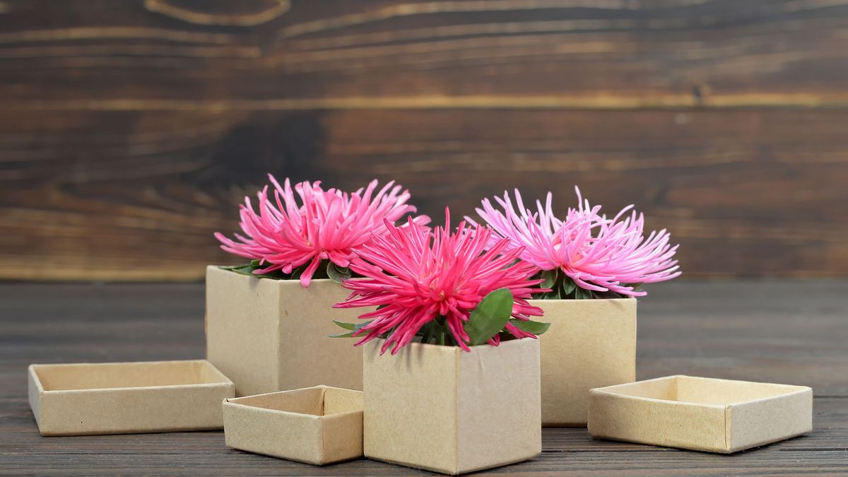 Puedes crear unos originales maceteros con las cajas de regalo