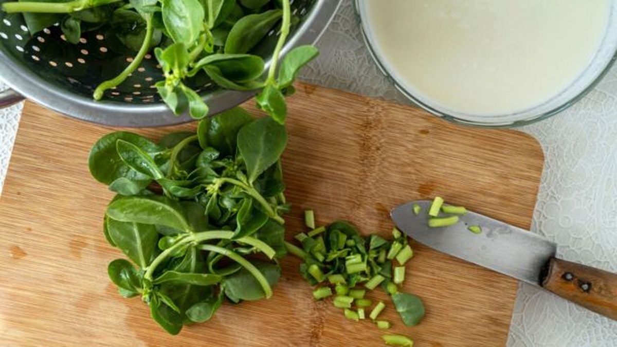 usos culinarios de la verdolaga