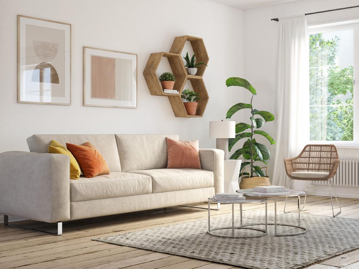 Salón con cortinas gruesas y planta grande al lado de la ventana.