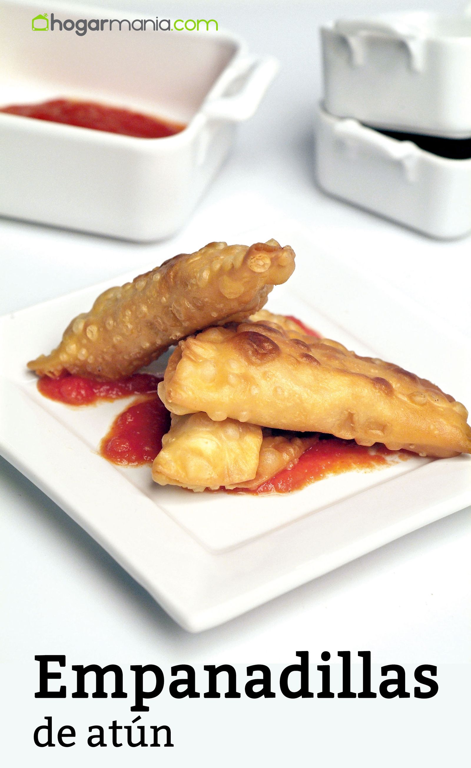 empanadillas atun receta2 empanadillas atun receta2