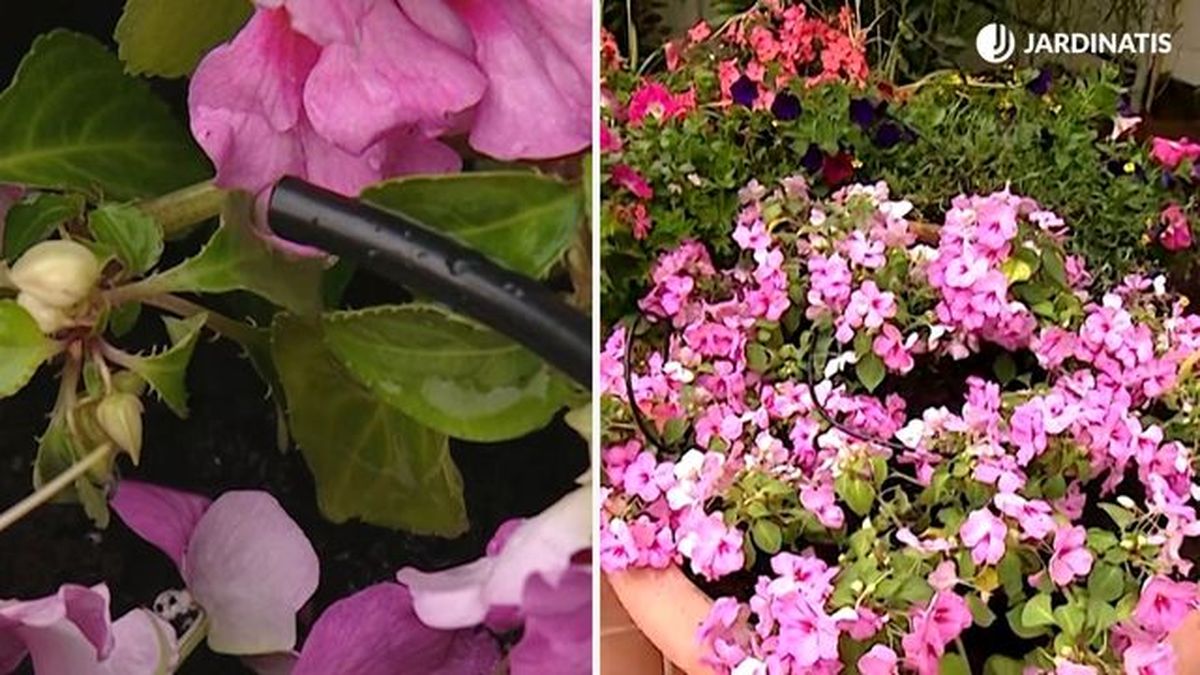 como instalar sistema riego goteo 3 brico 522