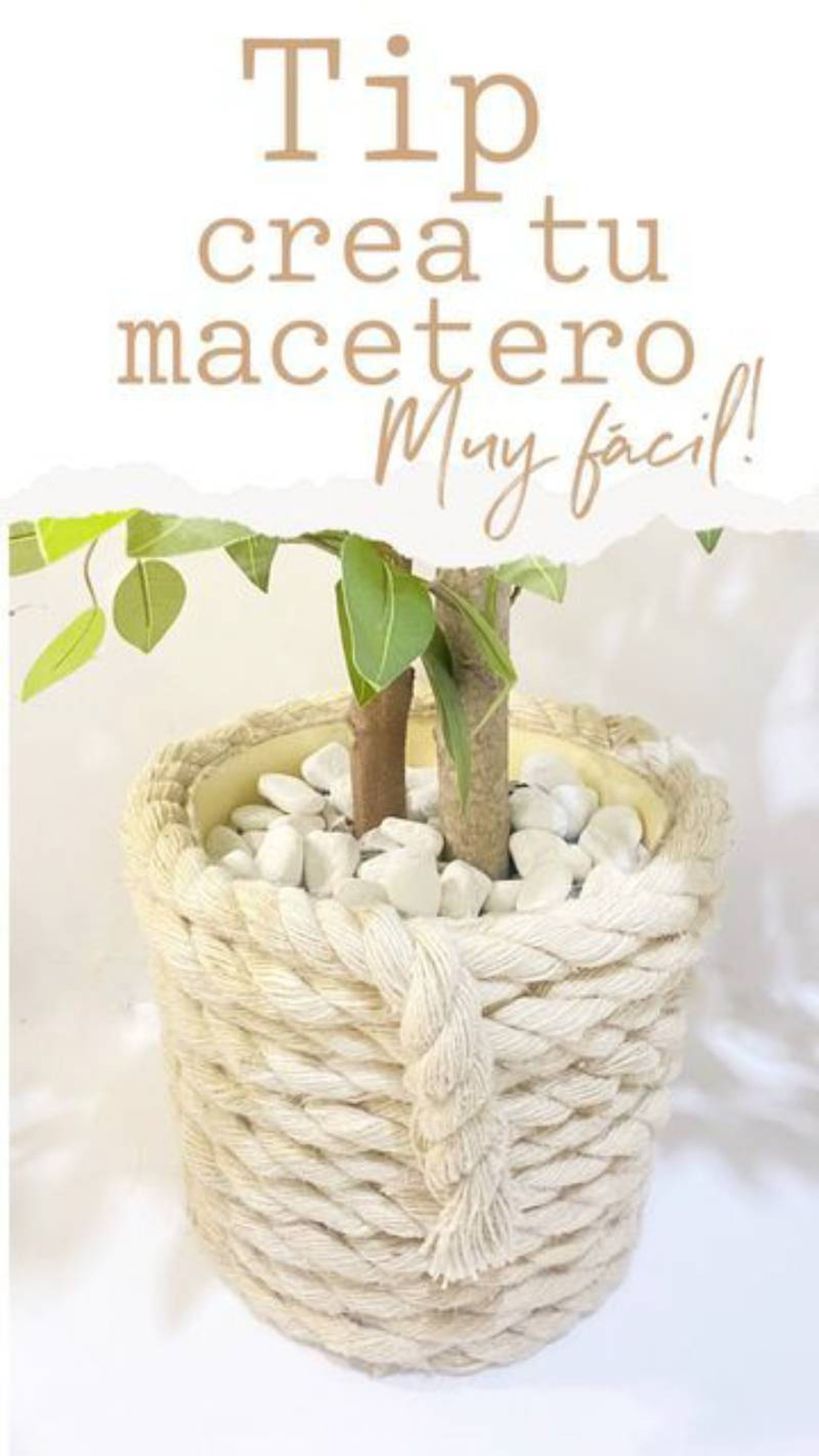 Maceta decorada con cuerda de esparto gorda. Maceta decorada con cuerda de esparto gorda.