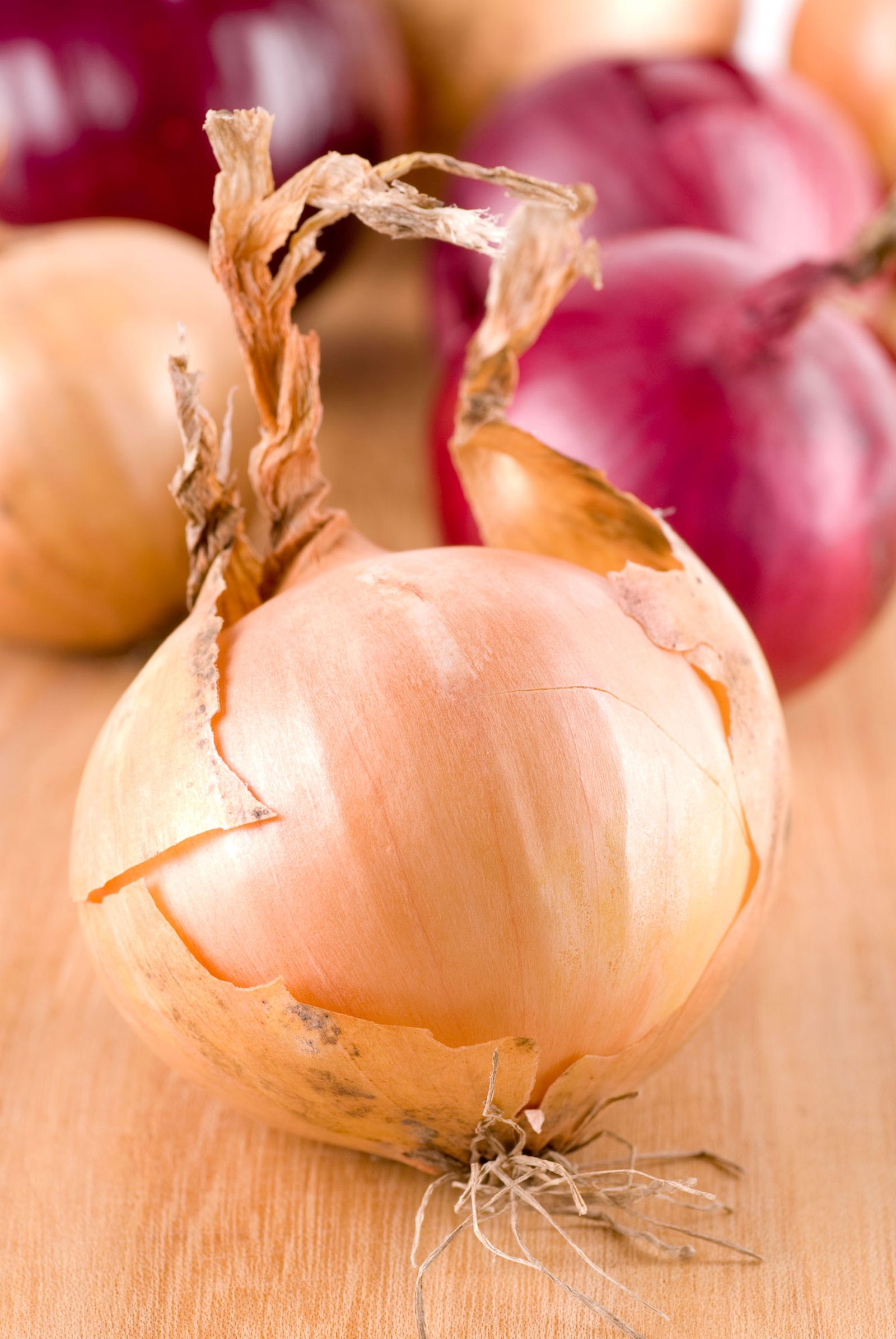 salsa de cebolla