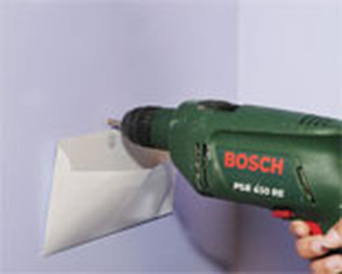 302 col bald pared p5