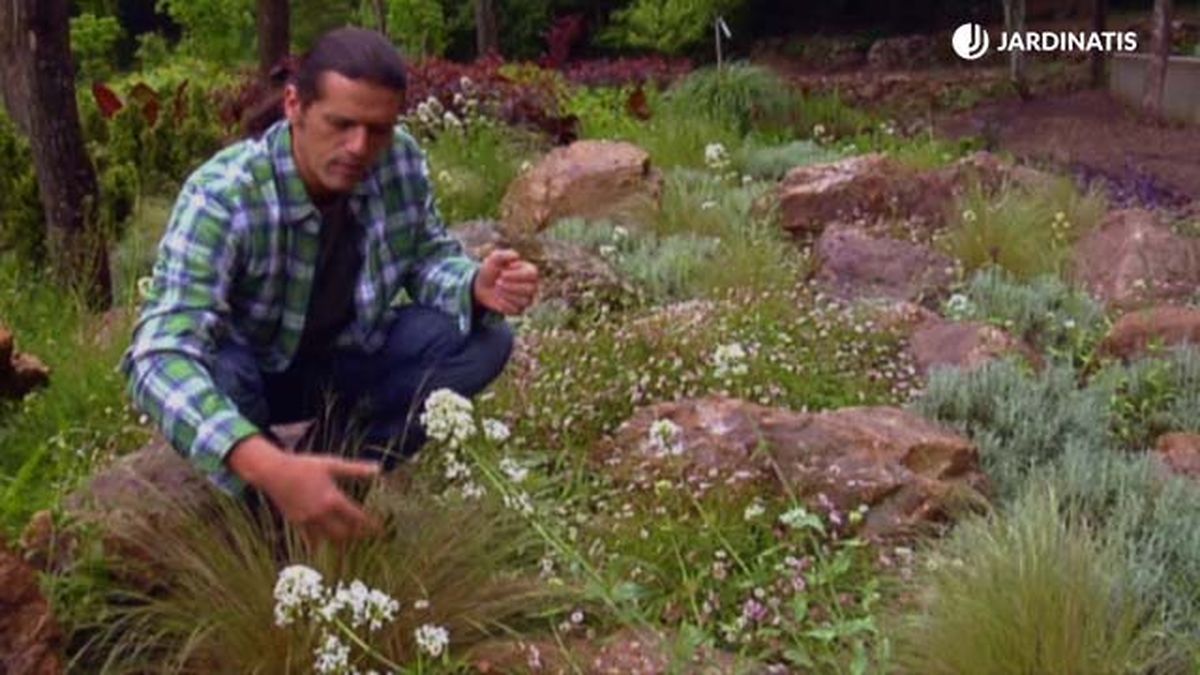 jardin de rocalla de gran tamaño jardinatis xl deco 577 jardin