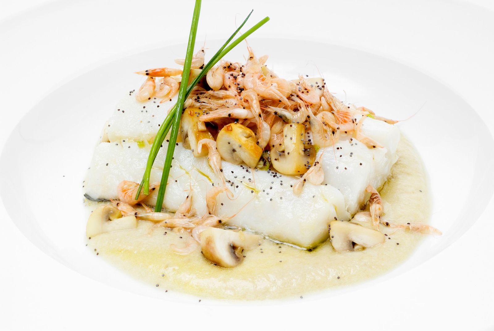 bacalao pilpil xl