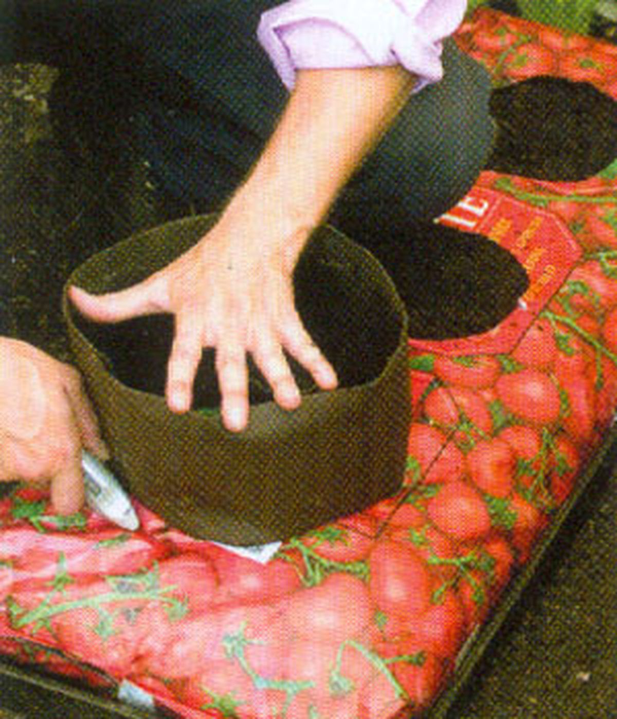 Cultivar tomates en bolsas 1