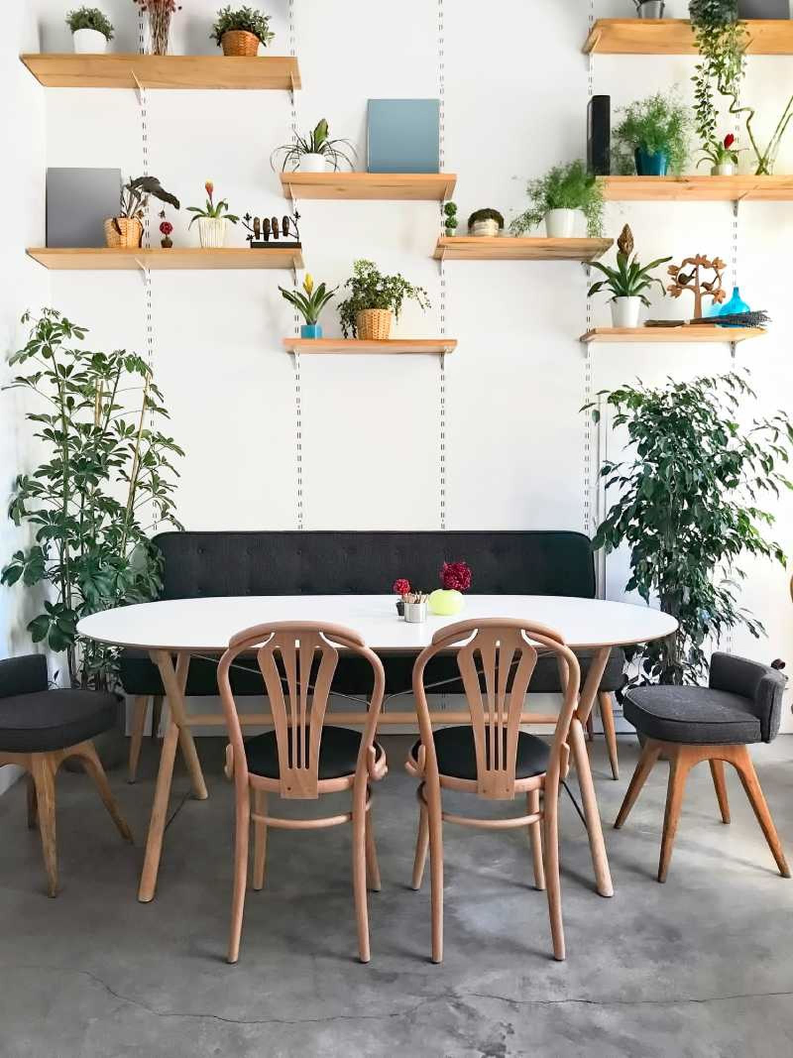 Comedor pequeño con baldas con plantas. Comedor pequeño con baldas con plantas.