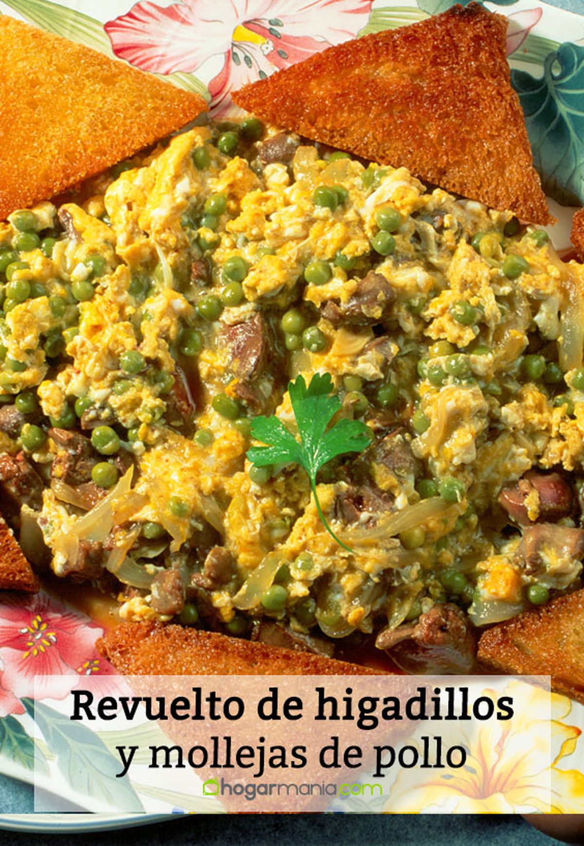 070 2 revuelto higadillos mollejas pollo pin