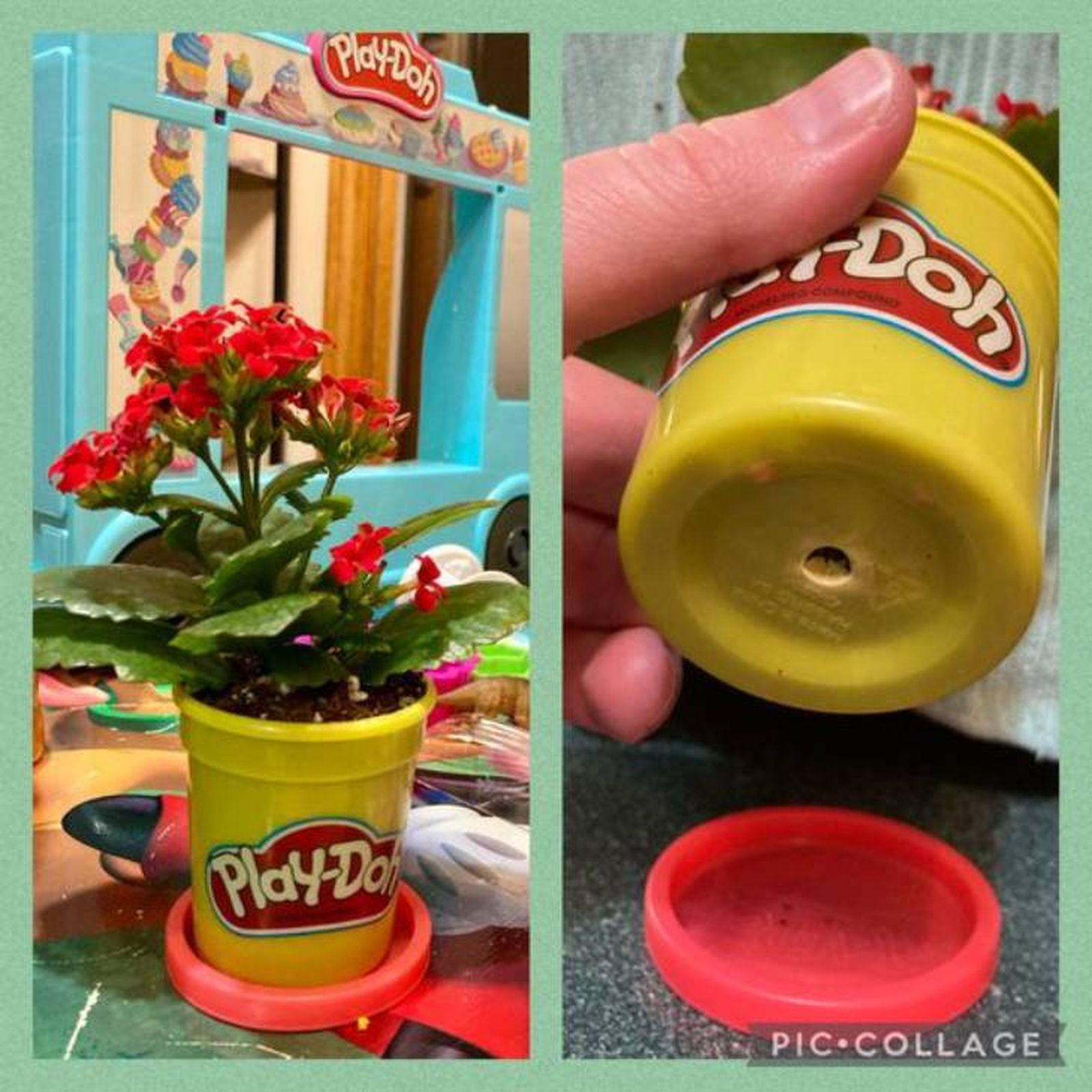 plantar plantas botes play doh pinterest mackenzie hebert plantar plantas botes play doh pinterest mackenzie hebert