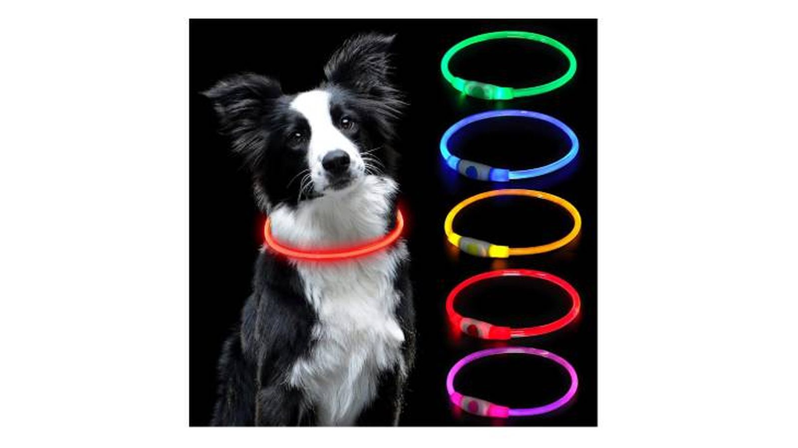 collar led perro auauy amazon collar led perro auauy amazon