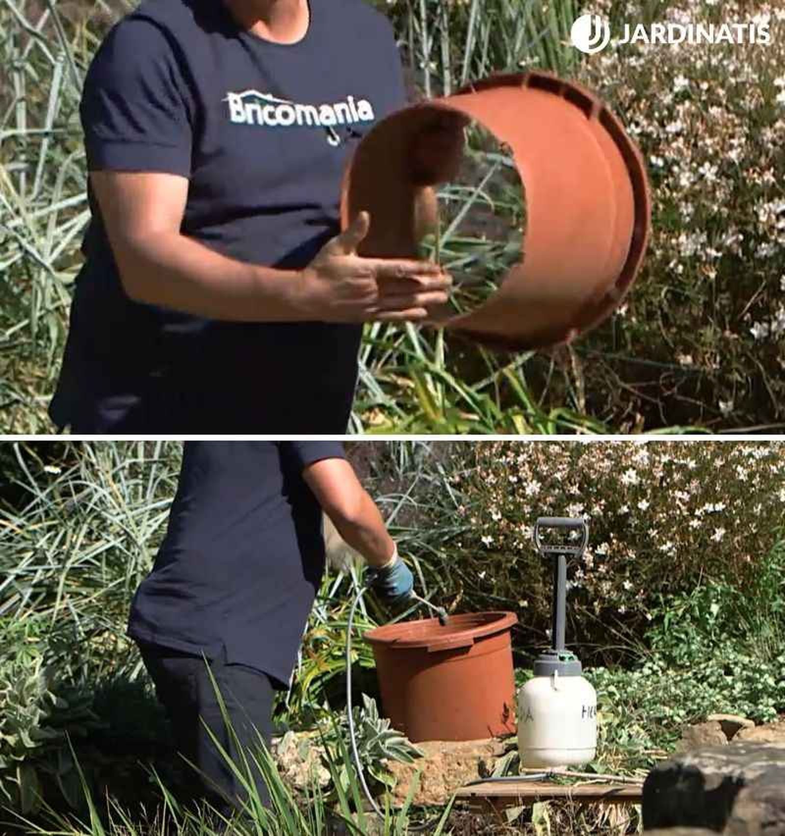 Protege la zona con una maceta sin base Protege la zona con una maceta sin base