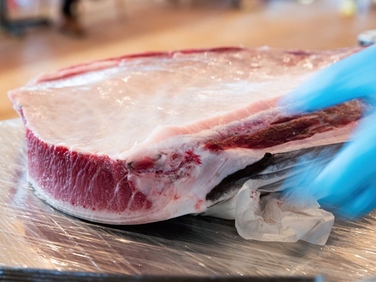 La ventresca puede ser muy distinta según el túnido