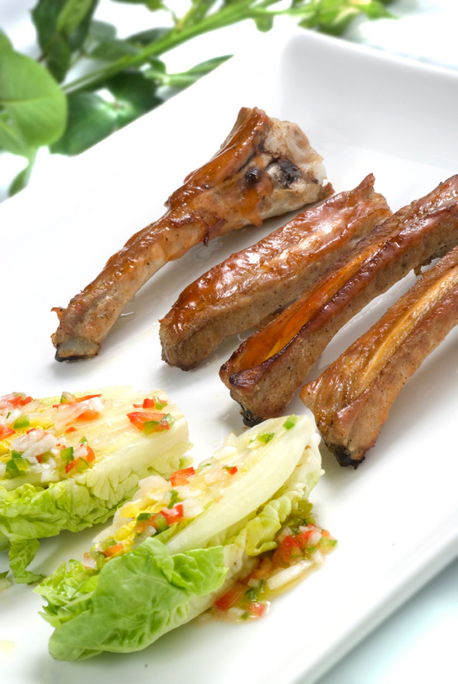 costilla cerdo xl