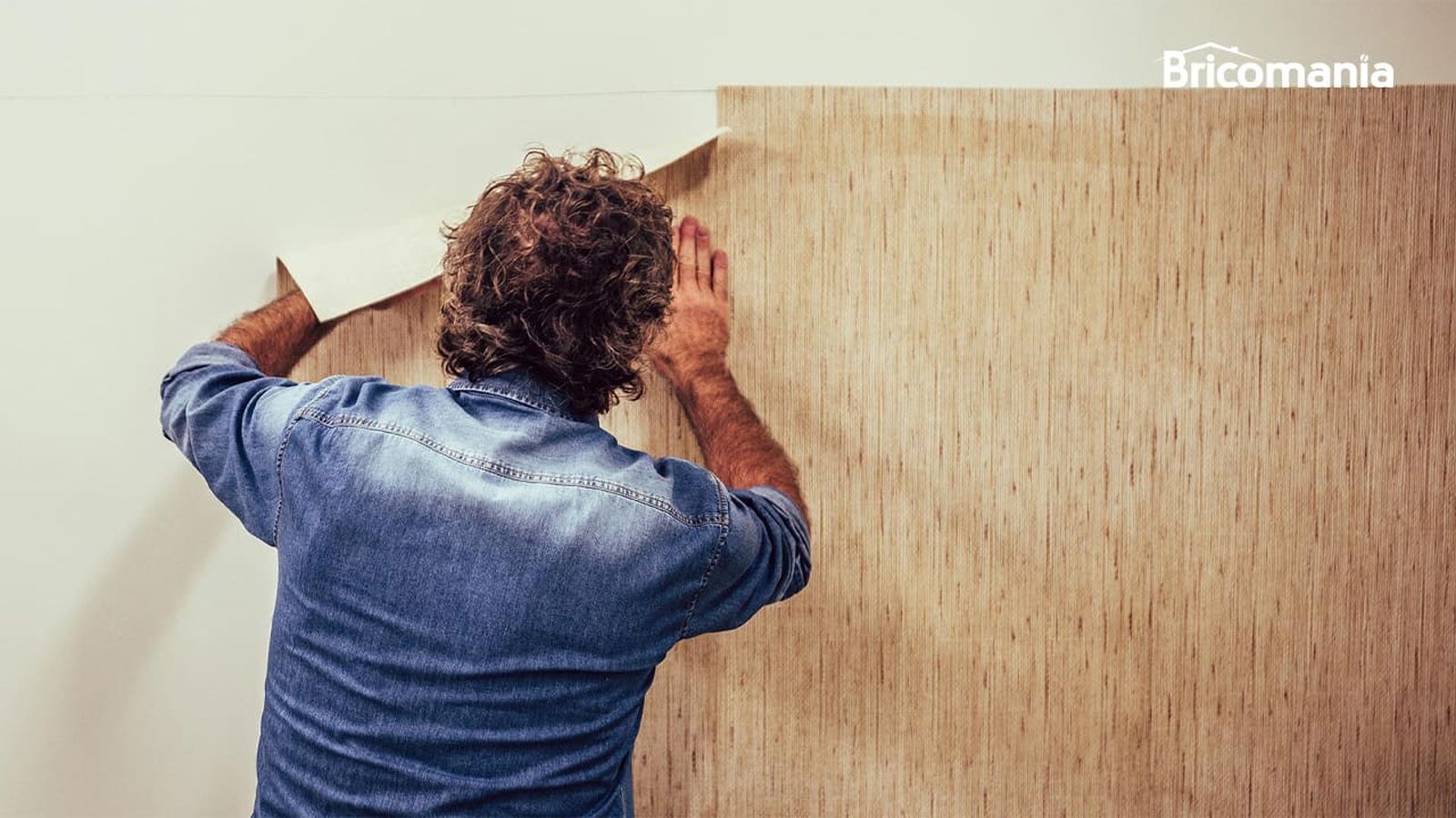 972 empapelar pared xl 972 empapelar pared xl