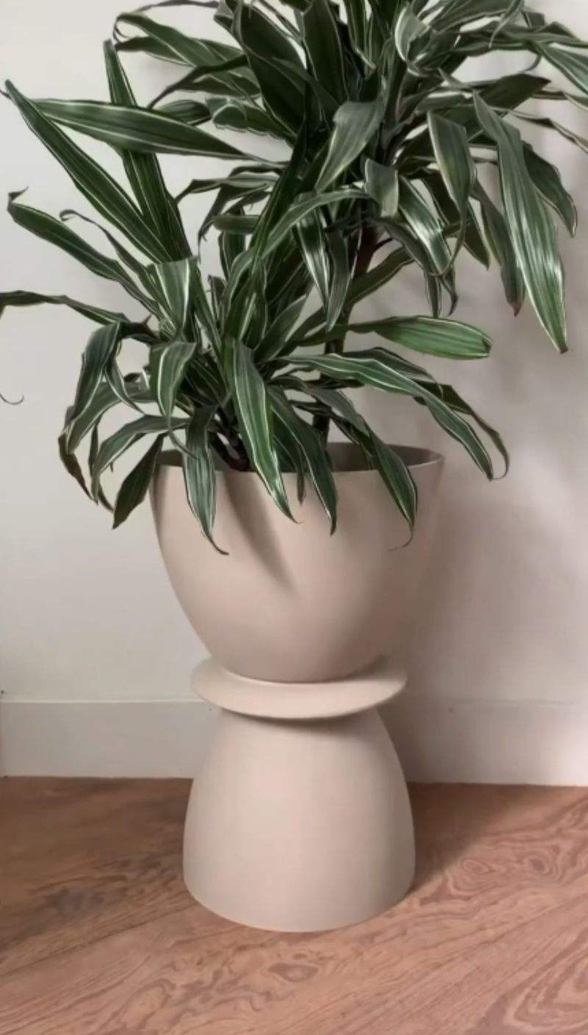 Escoge el color de la pintura que más te guste / Fotograma de un vídeo de Pinterest de Home Furniture Inn.