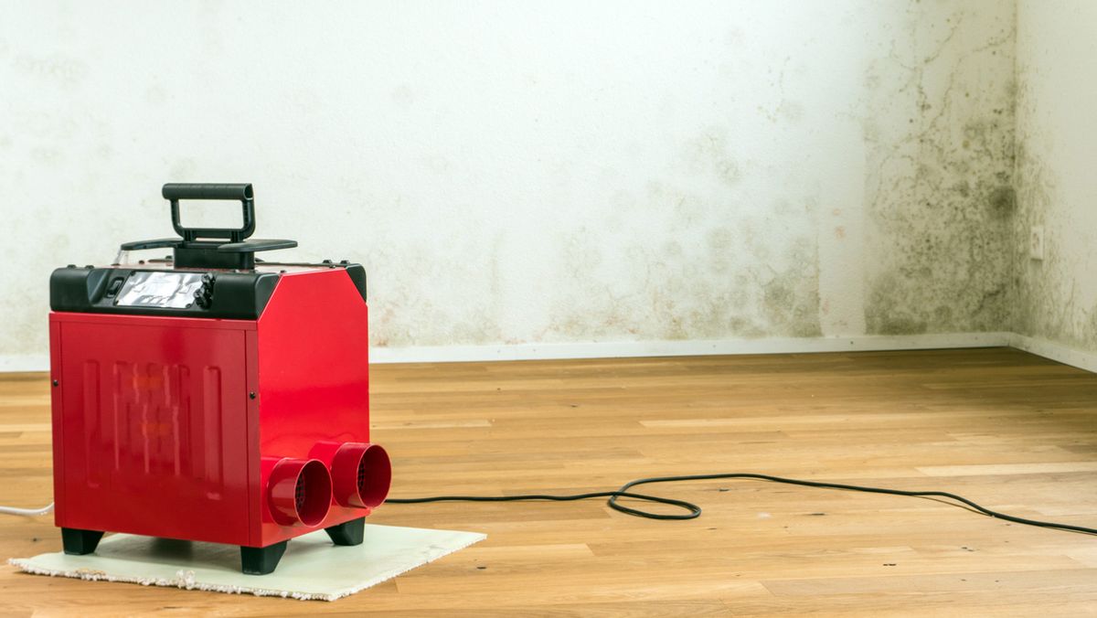 deshumidificadores que son y por que ayudan a combatir la humedad por condensacion de una casa moho