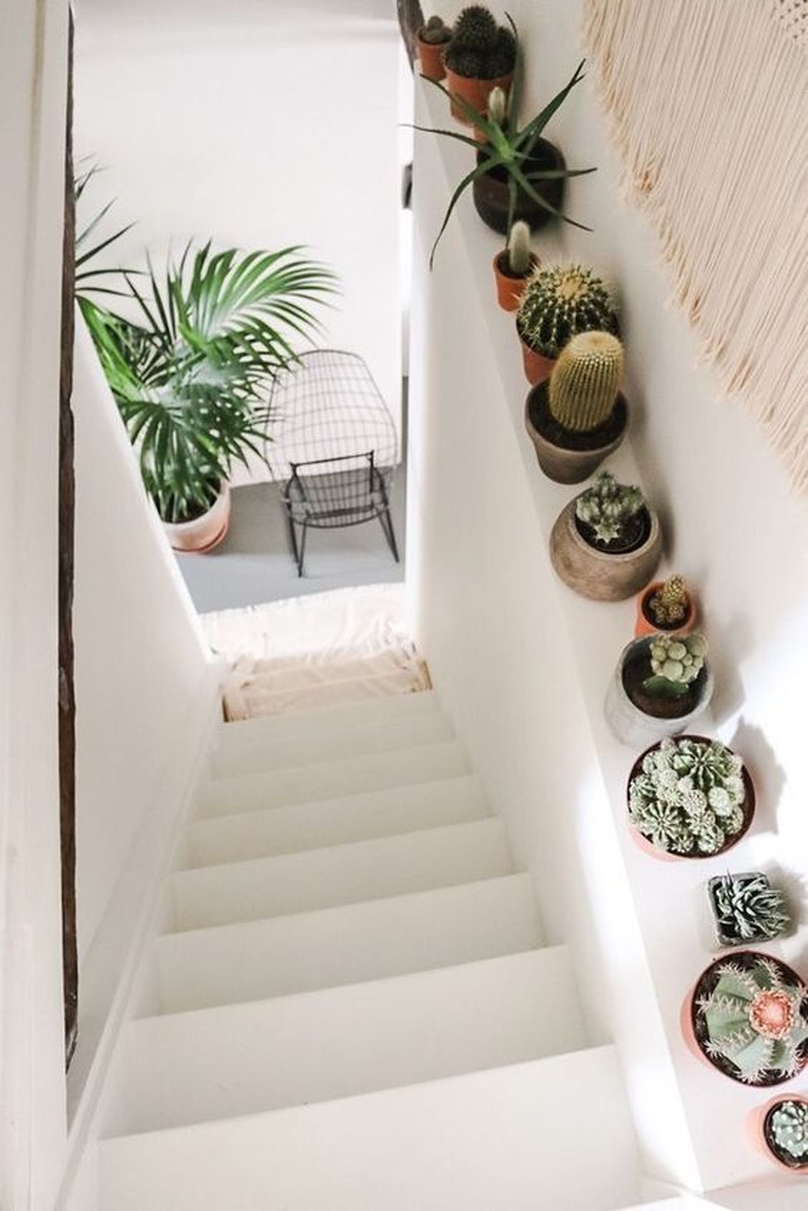 subida escalera decorada plantas 2 subida escalera decorada plantas 2