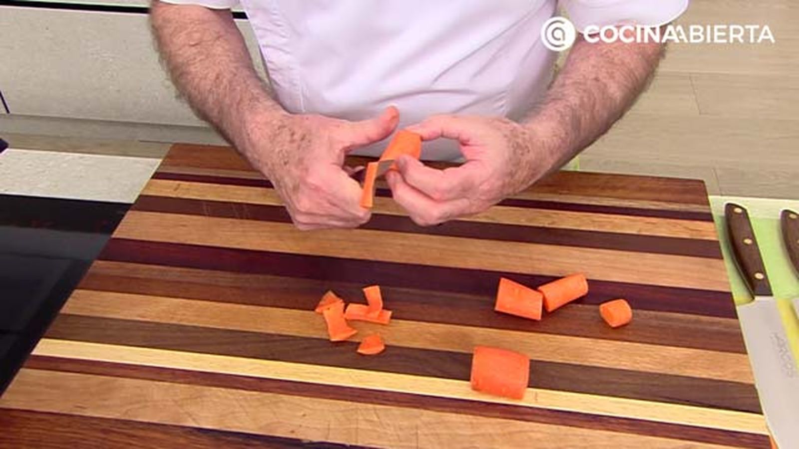 KARL6949 blanqueta pollo p1