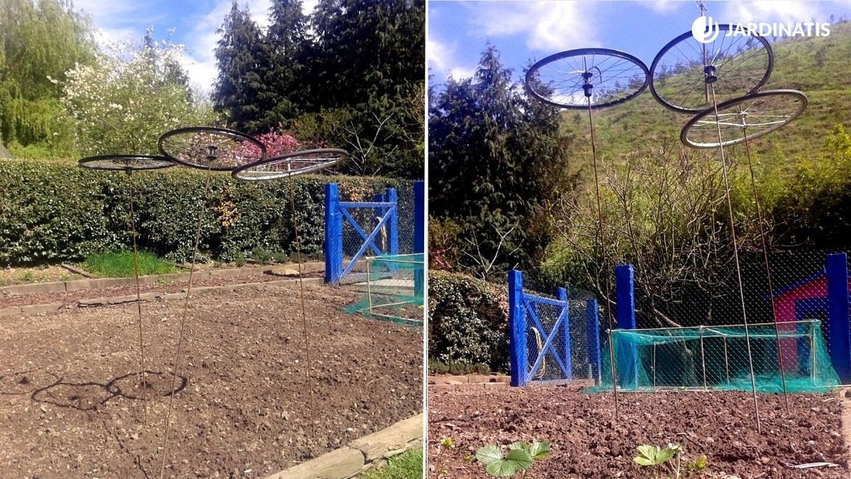 siembra de judias con tutor reciclado xl brico 828