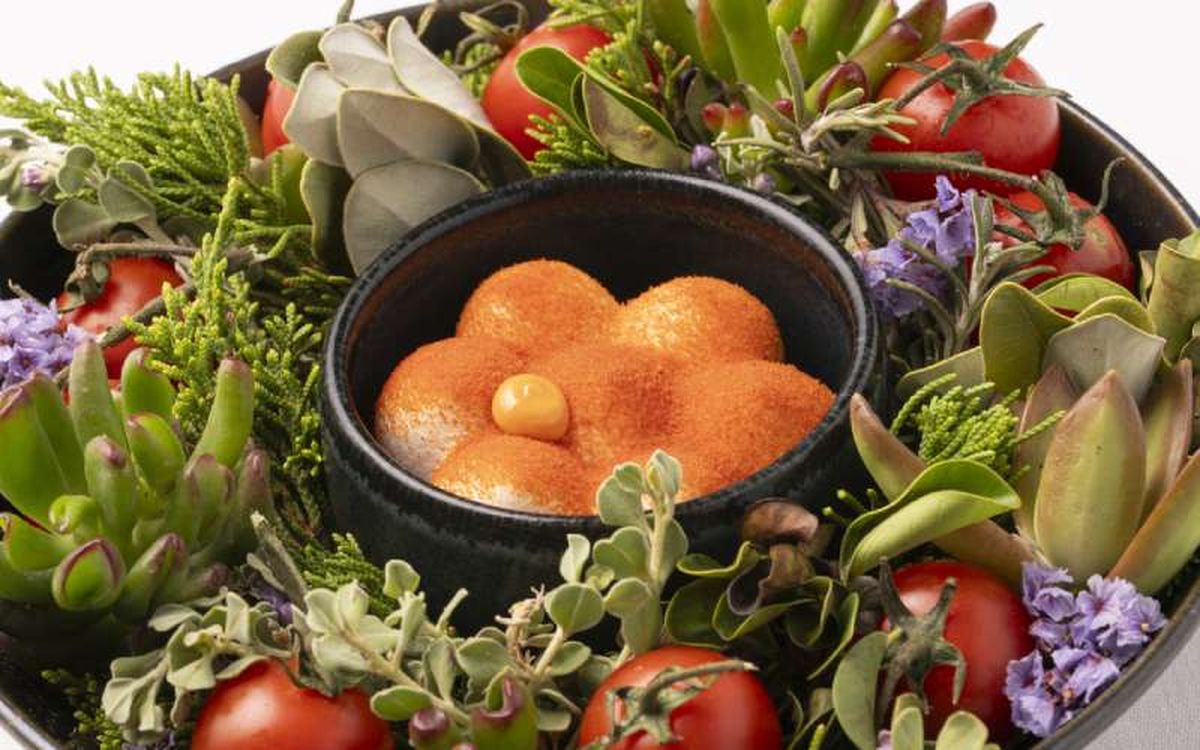 Canarias ha sido una de las triunfadoras con cuatro nuevas estrellas