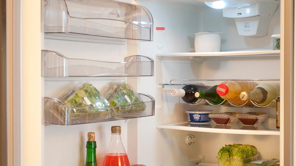 brico 0657 1 leds frigorifico paso 9